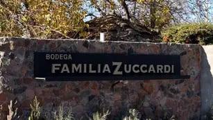Familia Zuccardi ofrece empleo en Mendoza