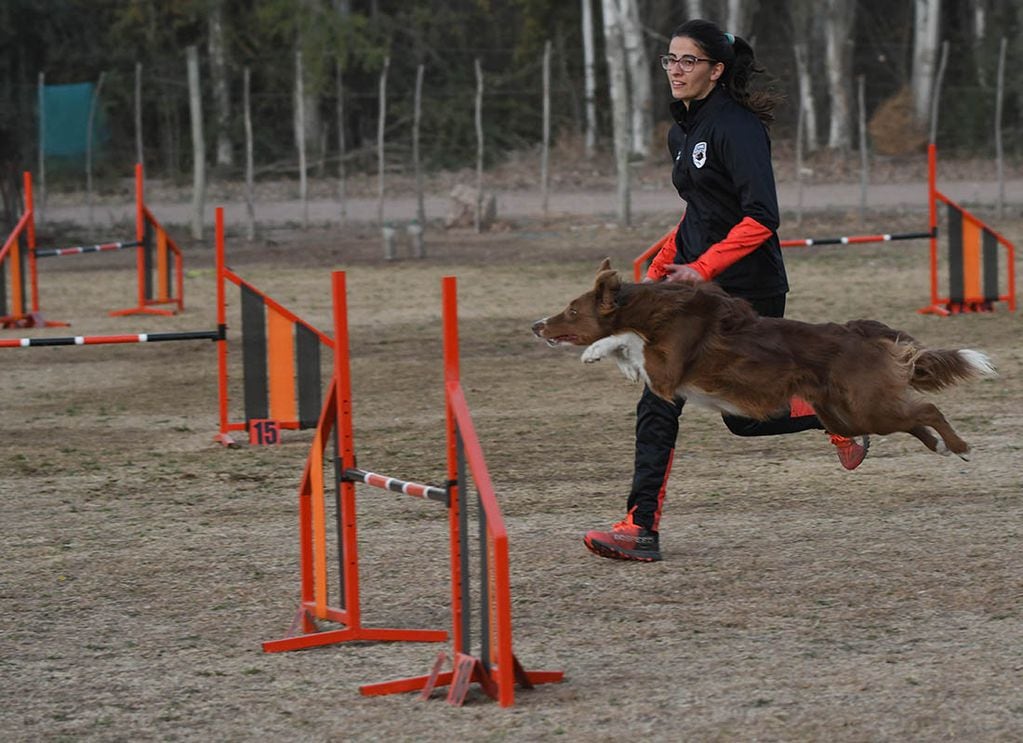 El objetivo del nuevo deporte era demostrar la agilidad y velocidad natural de los perros