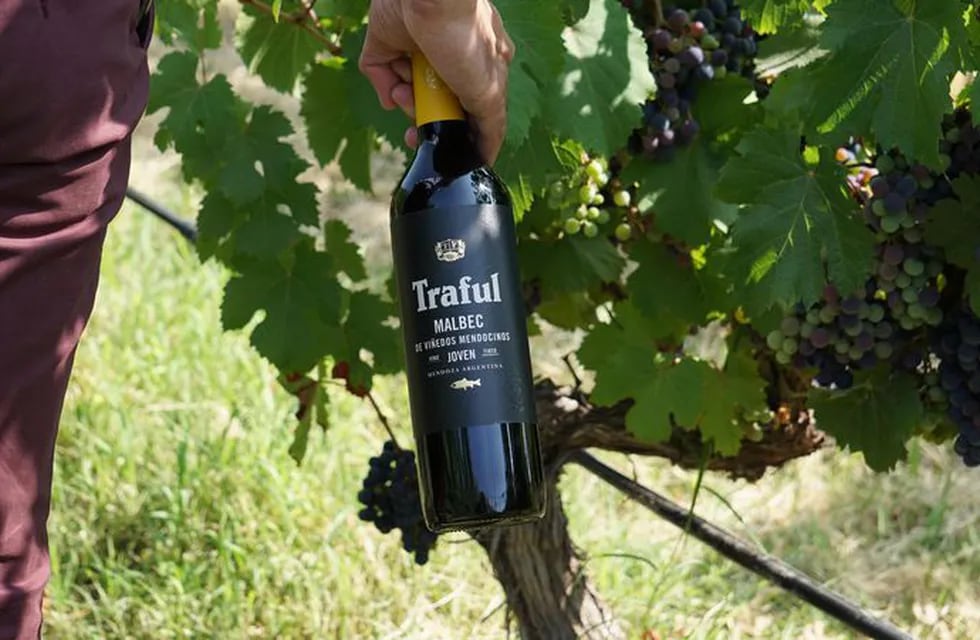 Pese al aumento del volumen producido referentes del sector vitivinícola advierten que la caída en la facturación es grande.