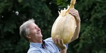Cebolla récord: un agricultor cosechó una de casi 9 kilos y marcó un nuevo registro Guinness