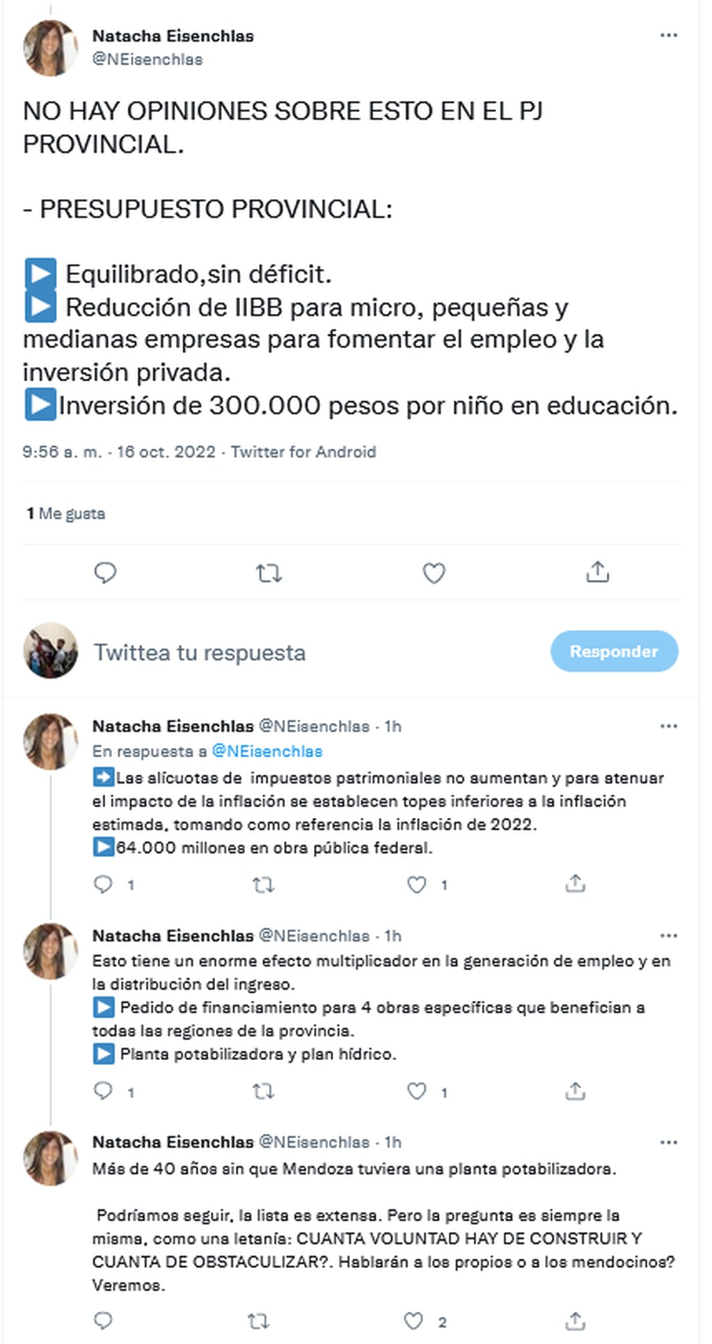 La senadora Natacha Eisenchlas criticó al peronismo por los cuestionamientos sobre el Presupuesto 2023. Twitter.
