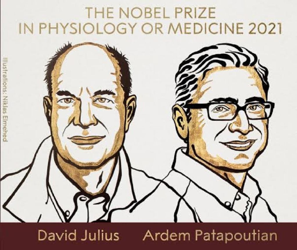 David Julius y Ardem Patapoutian, los dos ganadores del Nobel de Medicina 2021