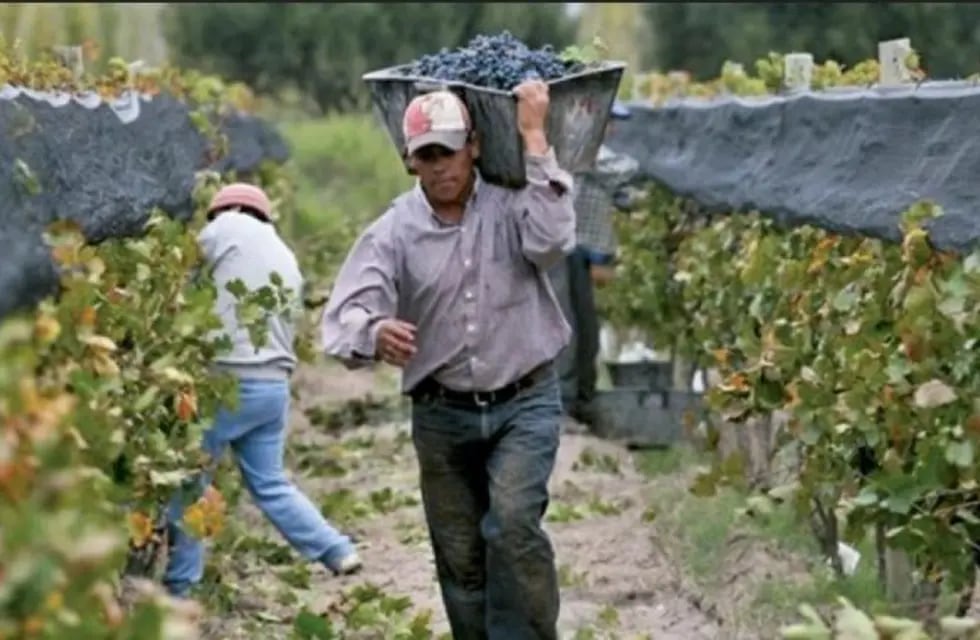 Soeva busca duplicar el salario de los trabajadores de viña y bodegas para el 2023.