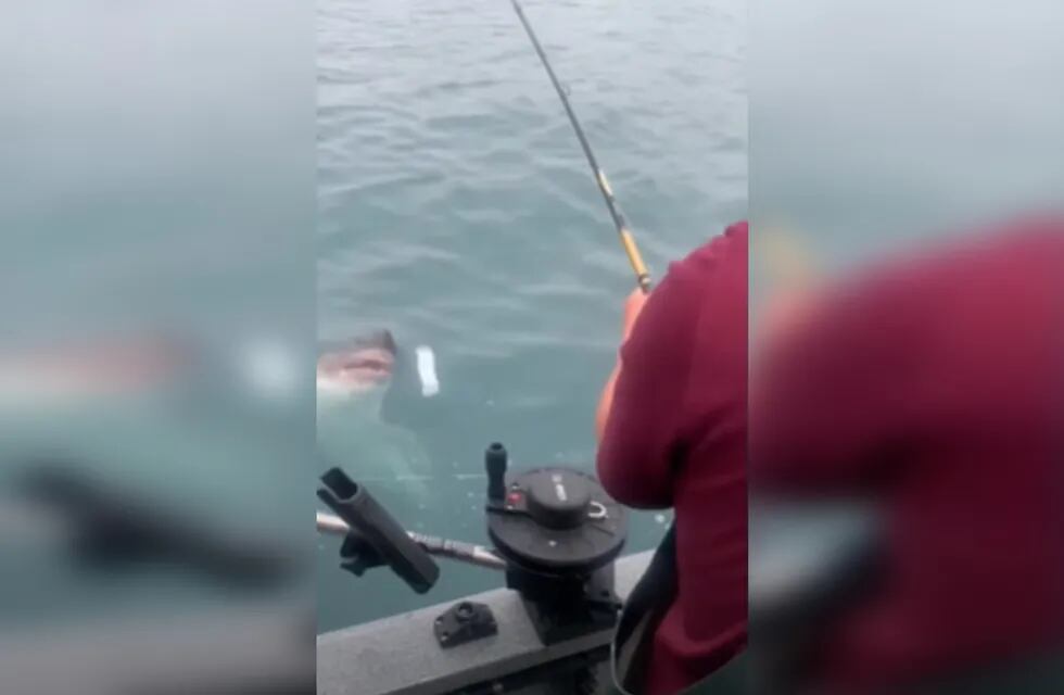 El momento en el que pescaron un tiburón salmón