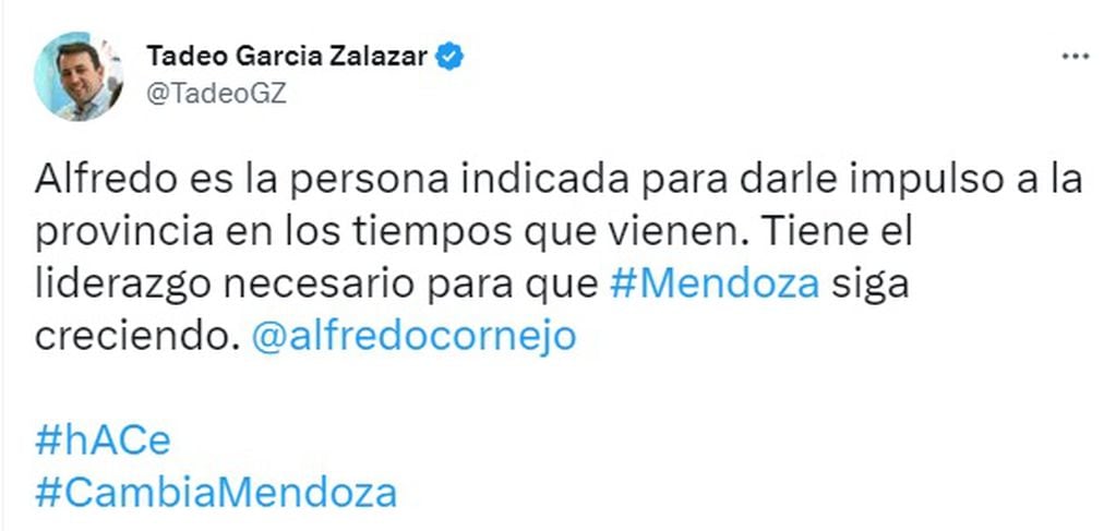 Tuit de Tadeo García Zalazar sobre candidatura de Cornejo