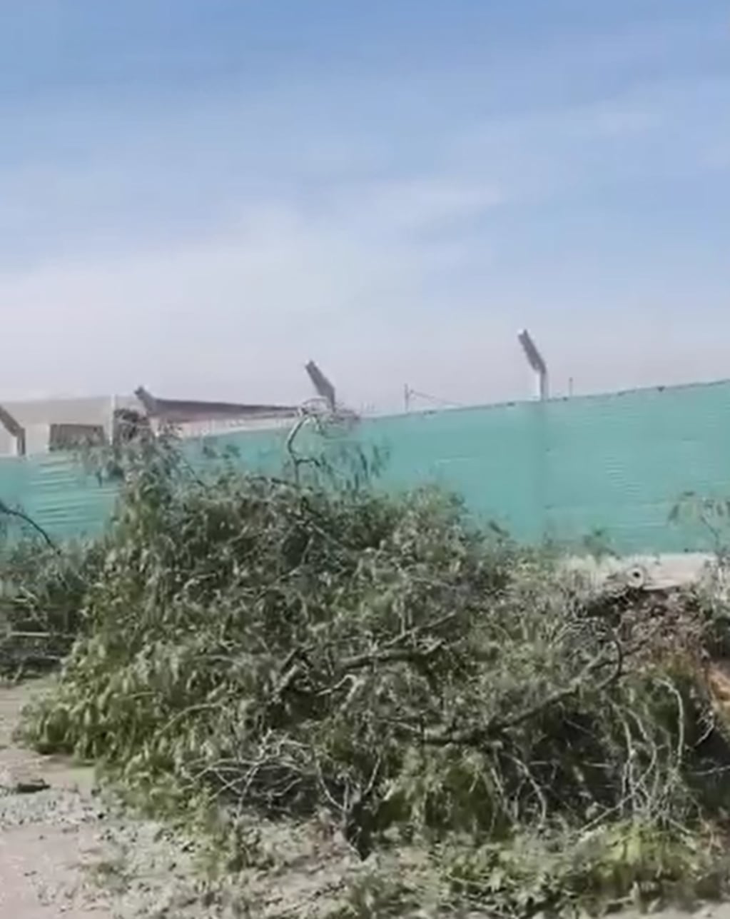 Tras el enojo por la tala de 12 árboles, desde templo explicaron que “favorecerán el medio ambiente”. Foto: Captura Video.