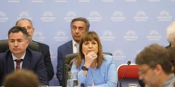 Patricia Bullrich, ministra de Seguridad, en el debate por la "ley ómnibus". (Clarín)