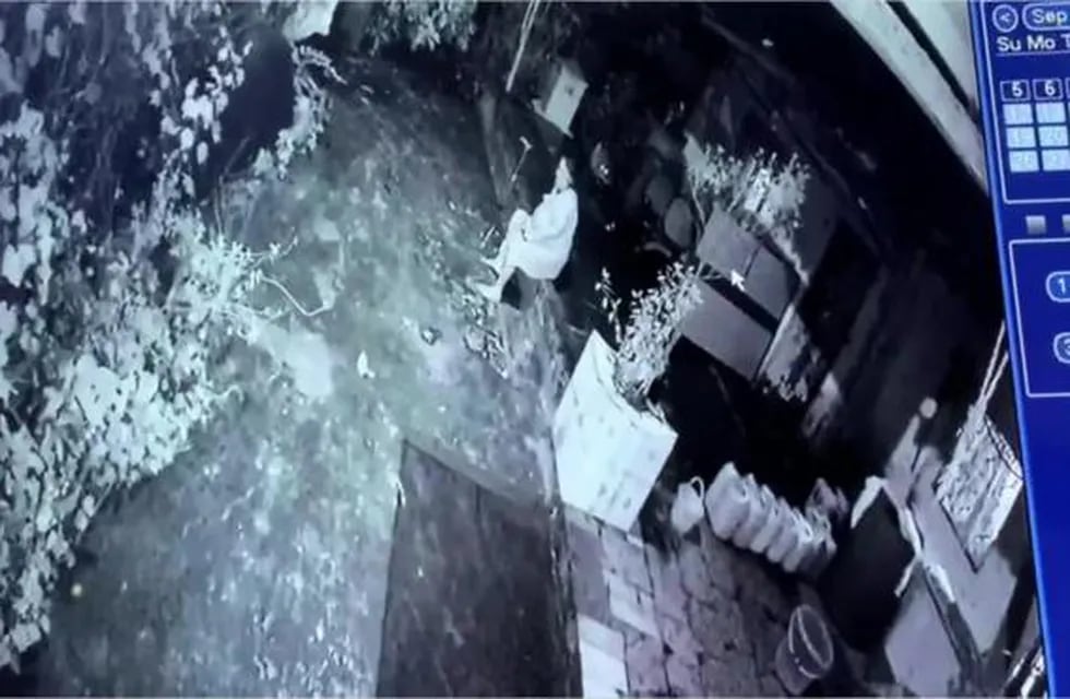 Una mujer de 65 años que se enfrentó a un leopardo que la sorprendió tomando aire fuera de su casa. Foto: Captura de video