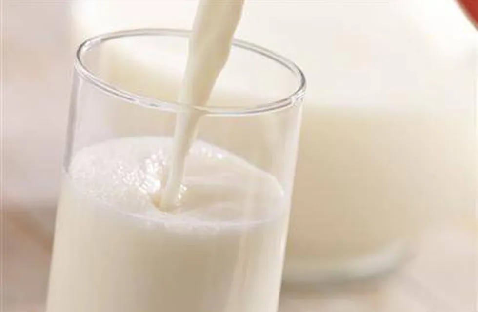 Elaboran bebida con suero de leche con alto valor nutricional