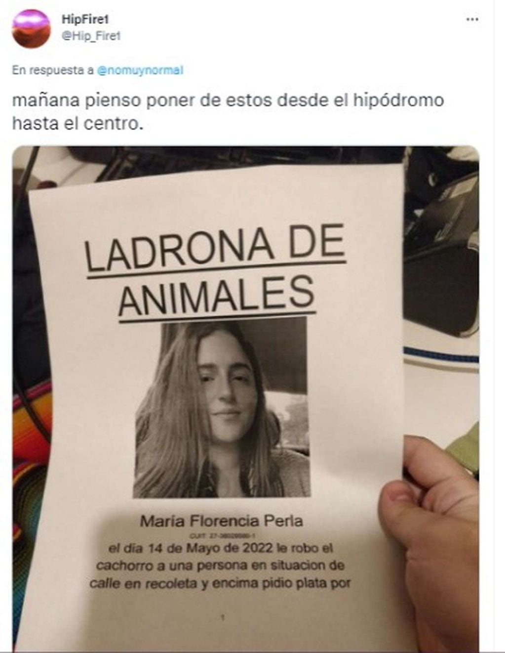 En Palermo, una joven le robó una mascota a una persona en situación de calle y lo compartió en las redes, donde llovieron comentarios negativos por su actitud.