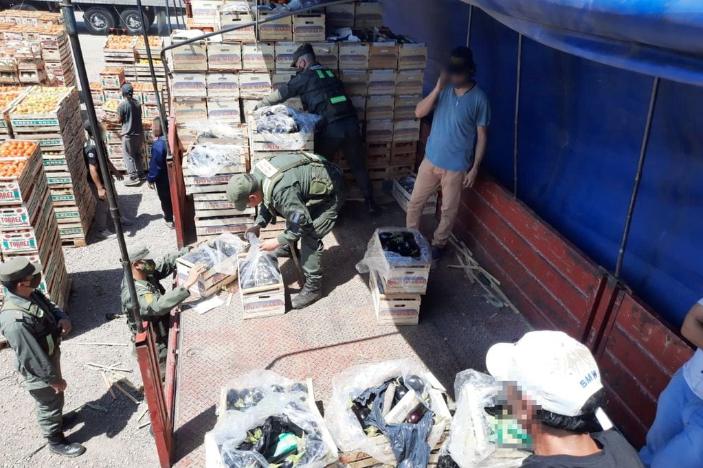 En Guaymallén detuvieron a un camión que traía casi 100 kilos de hojas de coca entre un cargamento de berenjenas.