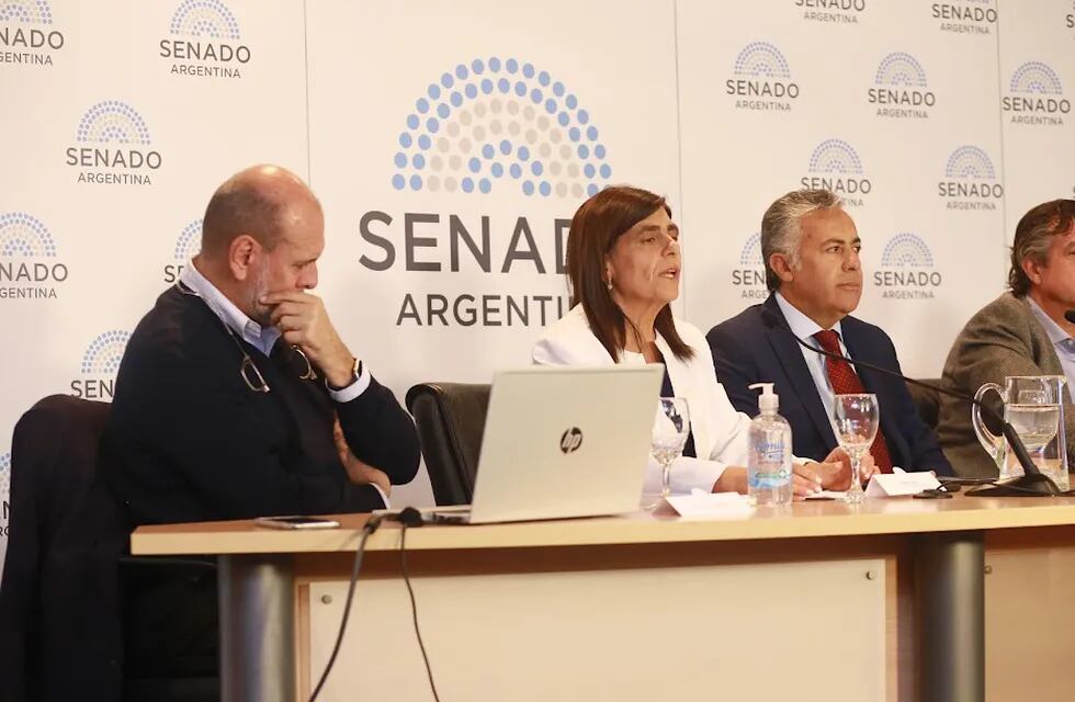 La senadora Mariana Juri y su compañero de banca, Alfredo Cornejo durante la presentación del proyecto de boleta única en el Senado de la Nación.