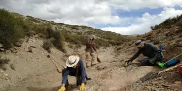Dinosaurios en Mendoza: 9 especies que habitaron en Mendoza y cómo es el “Jurassic Park mendocino”. Foto; Gentileza María Belén Tomaselli