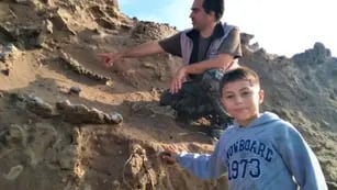 Un niño encontró restos fósiles de un perezoso gigante de hace 100 mil años