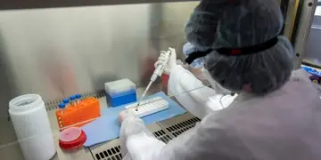 Pruebas PCR