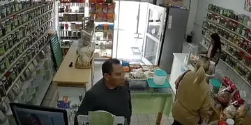 Se hizo pasar por cliente en una dietética de Maipú y le robó el celular a la empleada