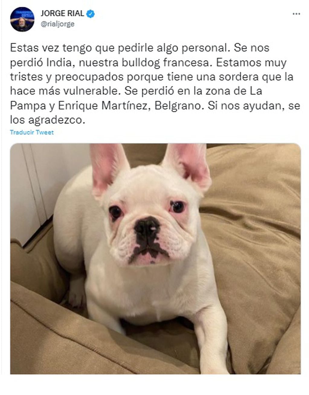 Se perdió la mascota de Jorge Rial y pidió ayuda en las redes para encontrarla