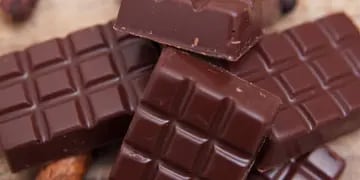 La Anmat prohibió la venta de dos chocolates de famosas marcas