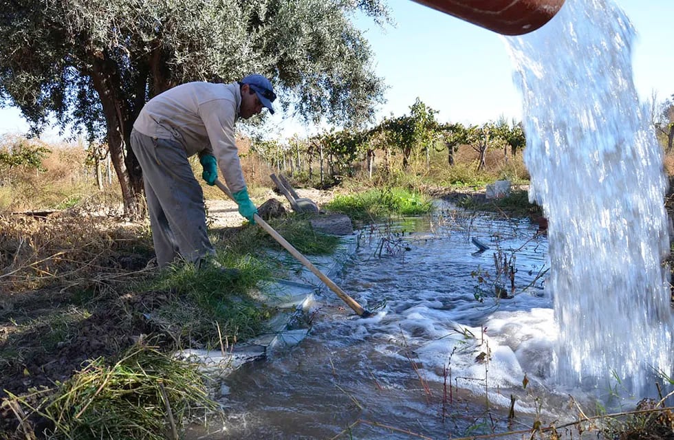 La agricultura utiliza aproximadamente el 75% del agua disponible en la provincia. - Archivo / Los Andes