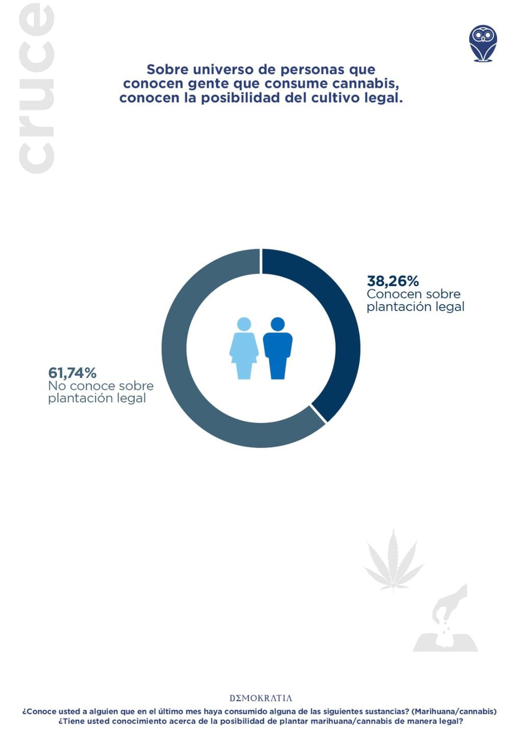 Según un estudio, solo 3 de cada 10 mendocinos conoce sobre el uso medicinal del cannabis. Foto: Gentileza Hemp Garden