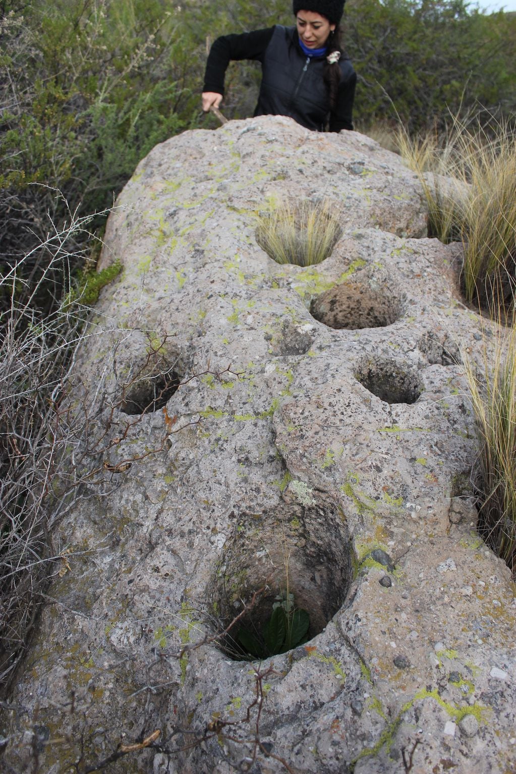 Vista de una roca (ignimbrita toba volcánica) con múltiples cavidades profundas, en el arroyo Papagayos, Paso de las Carretas.  Foto: Laura Steele.