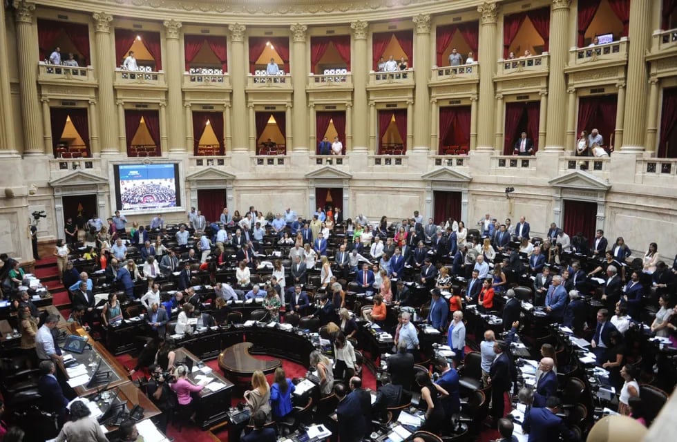 El jueves se constituirá la comisión bicameral del Congreso que tratará el DNU de Milei. Foto: Federico López Claro