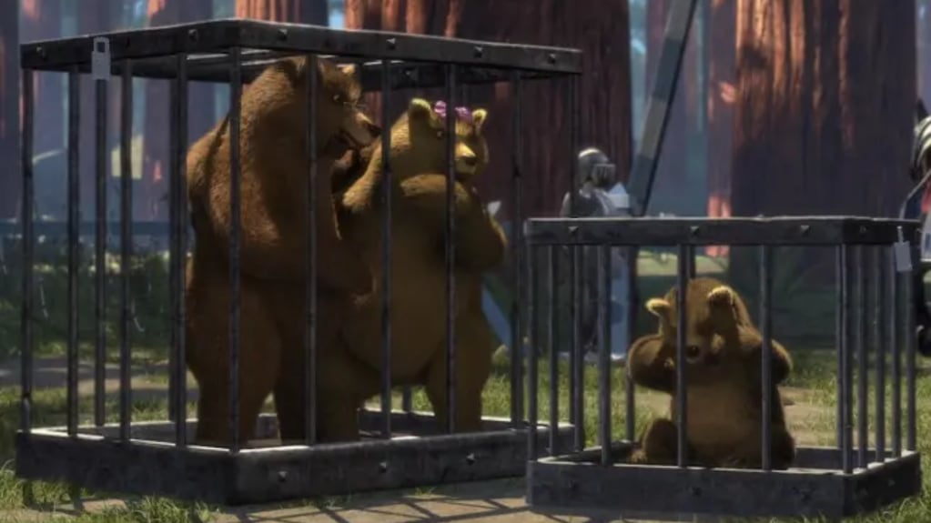 El detalle curioso de una familia de osos, en la que los padres están encerrados en una jaula y su hijo en otra. Gentileza: 20 minutos.