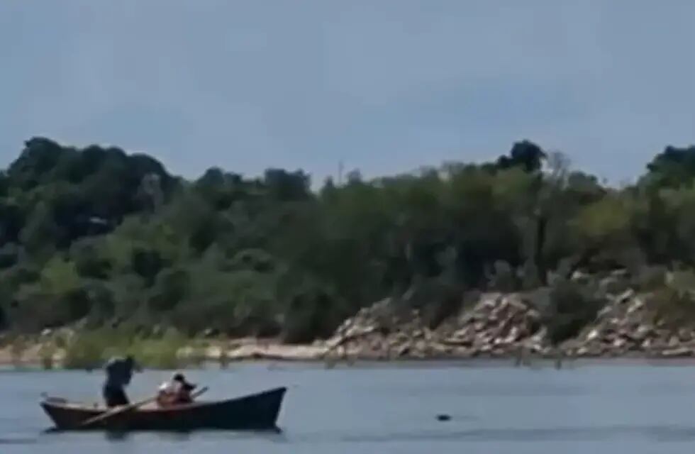 Luego de que lo abandonaran, el pobre animalito nadaba al lado de la canoa para acercarse a sus dueños. Gentileza: La Voz.