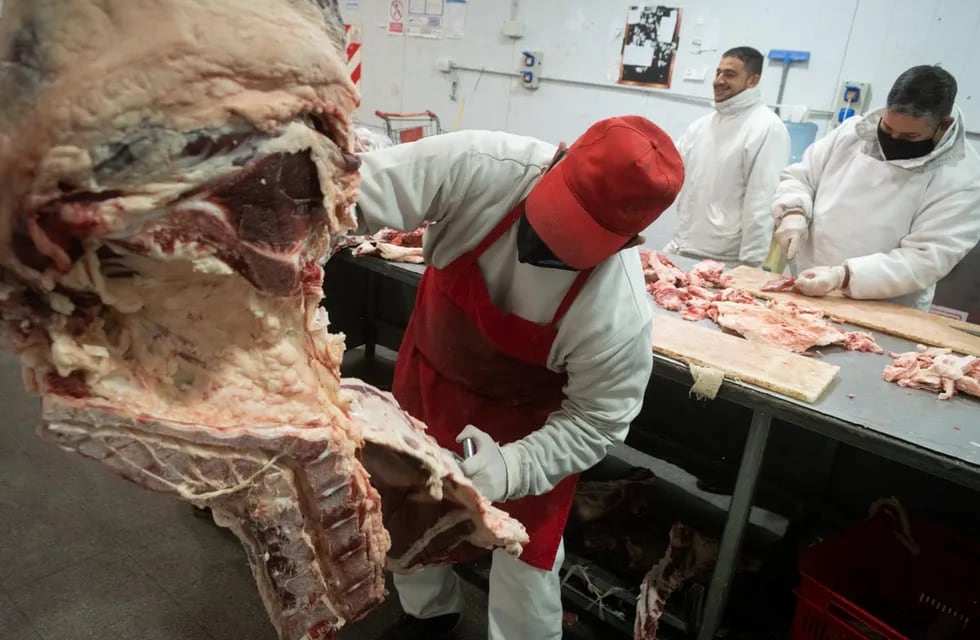 La carne tendrá precios congelados este fin de semana largo en supermercados. Foto: Ignacio Blanco / Los Andes