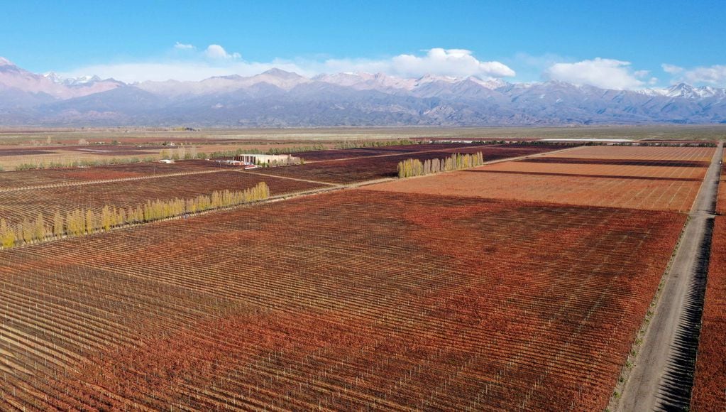 El Valle de Uco es una de la zonas que más viñedos ha sumado en las últimas décadas. - Claudio Gutiérrez / Los Andes