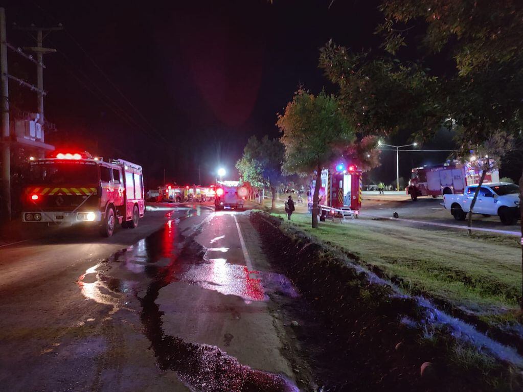 Las llamas lllegaron hasta dos contenedores de una empresa vecina a la fábrica de corchos siniestrada.