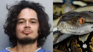 Kevin Justin Mayorga decapitó con sus propios dientes a una serpiente.