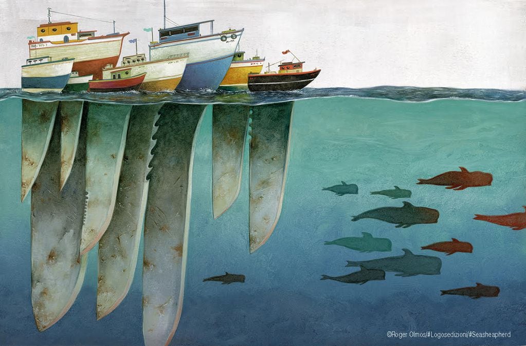 Grindadràp, la cruel tradición de Islas Feroe. Foto: Ilustración Roger Olmos (Sea Shepherd).