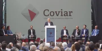 El gobernador Alfredo Cornejo en el desayuno de la Coviar 2024