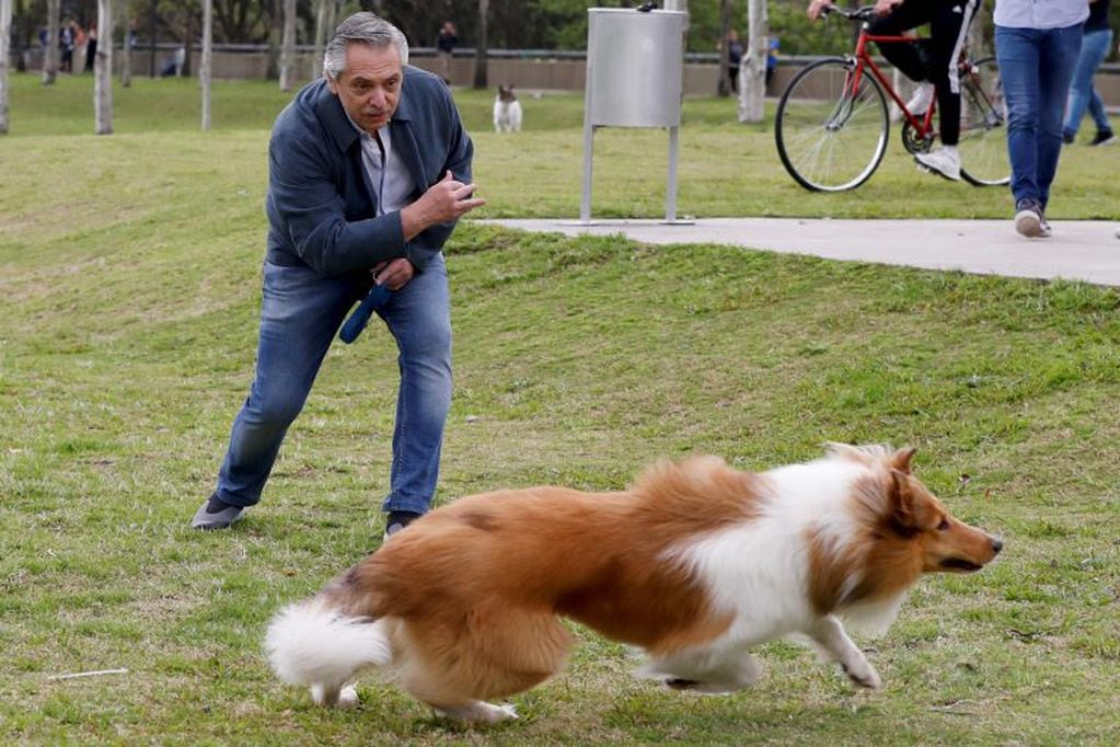 Alberto Fernández jugando con su perro Dylan (Foto: AP)