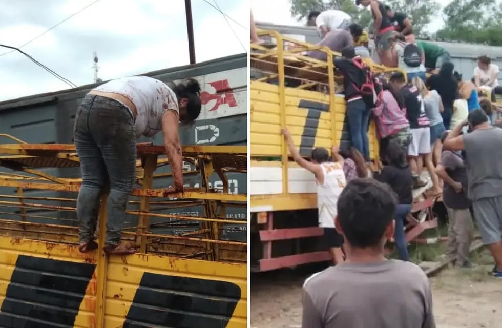 Saquearon y faenaron vacas de un camión chocado por un tren en Santiago del Estero (Gentileza)