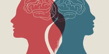 Los cerebros de hombres y mujeres se organizan de forma diferente, según un estudio con inteligencia artificial
