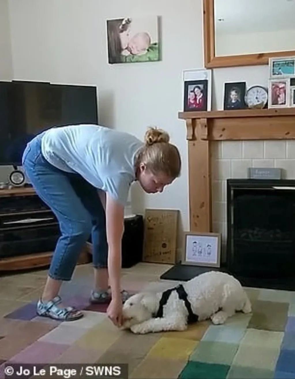 Jo, la dueña, decidió aprender las señas para poder entrenar a su perro.