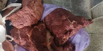 Decomisaron carne de caballo en Guaymallén