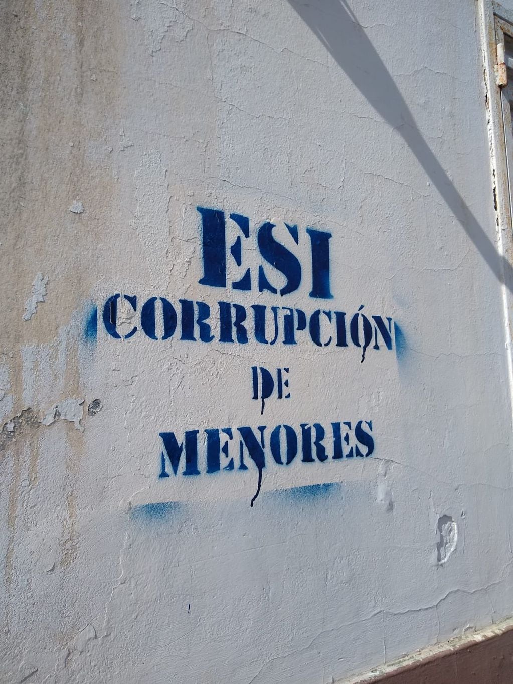 Pintadas contra la ESI en La Plata. Foto: X / @karinacostaguta