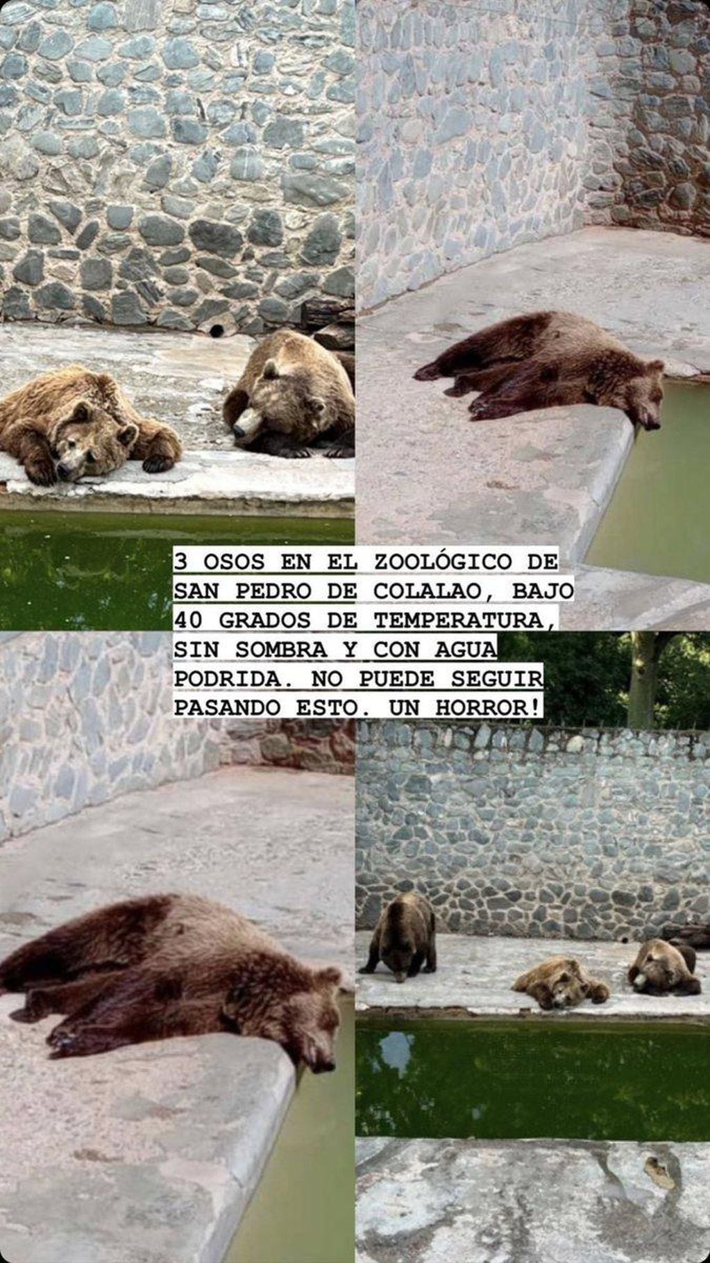 Los usuarios de las redes sociales criticaron al Zoológico de San Pedro. Foto: La Gaceta