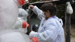 Lucha contra el dengue en Jujuy