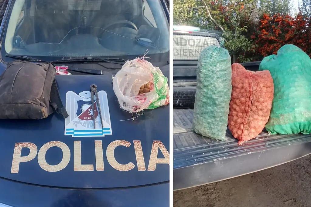 Recuperaron más de 200 kilos de nueces robadas y detuvieron a seis sospechosos en Tupungato