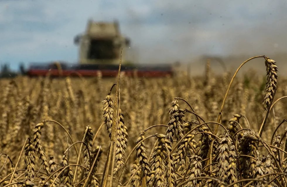 Acuerdo con Polonia y LItuania por el grano ucraniano facilitaría exportaciones.