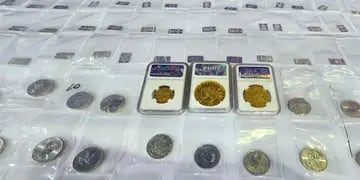 Un japonés intentó ingresar 18 monedas y 327 lingotes de platino ilegalmente por Ezeiza: “Tengo unas monedas”