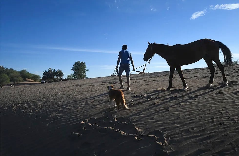 La sequía es uno de los problemas más graves de Mendoza. Foto : José Gutierrez / Los Andes