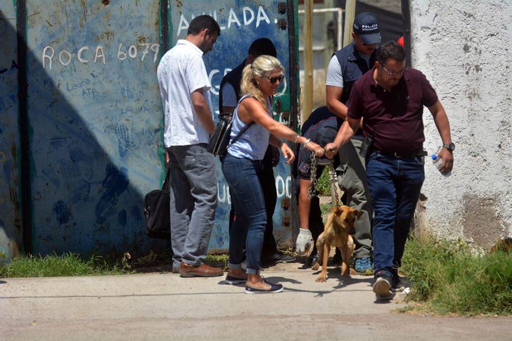 
Varios perros fueron retirados del predio que habitaba el israelí. Algunos son alimentados por los vecinos. | Los Andes
   