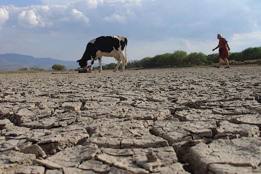 En Argentina hay siete millones de hectareas afectadas por la sequía debido a la crisis climática.