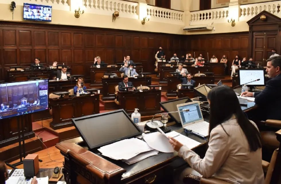 Sanción de ley en la Cámara de Diputados de Mendoza
