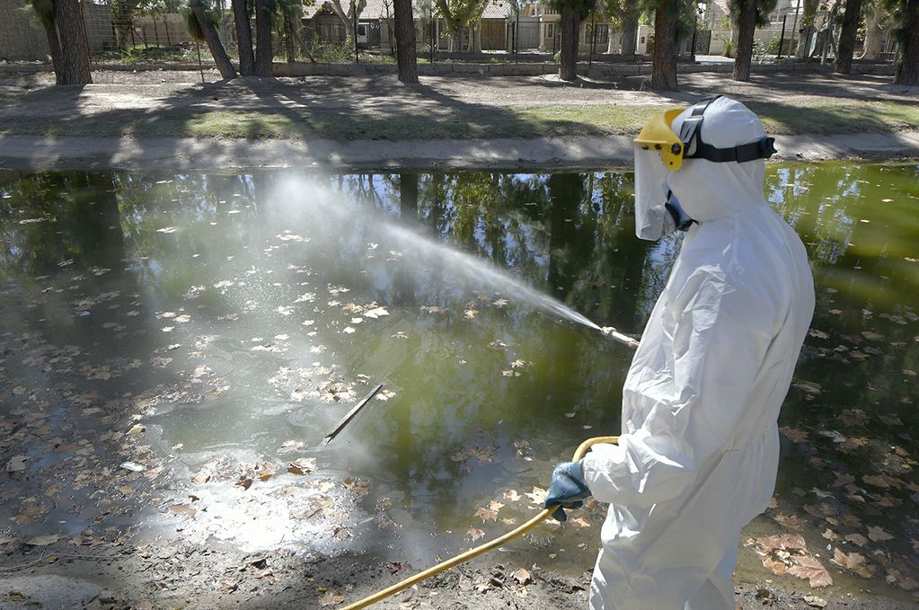 Personal de Zoonosis de Guaymallén desinfectando para evitar la propagación del mosquito Dengue  en el lago de Bandera de los Andes y Urquiza.


Foto : Orlando Pelichotti
